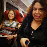 In de trein