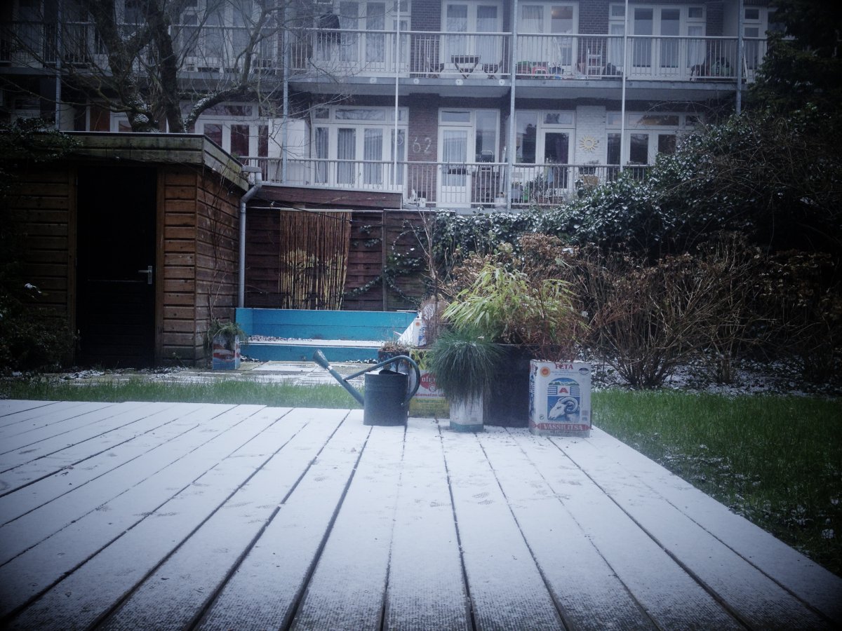 Sneeuw