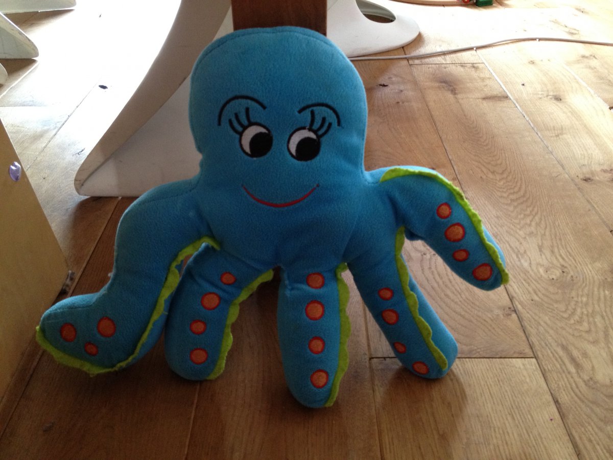 Octopus