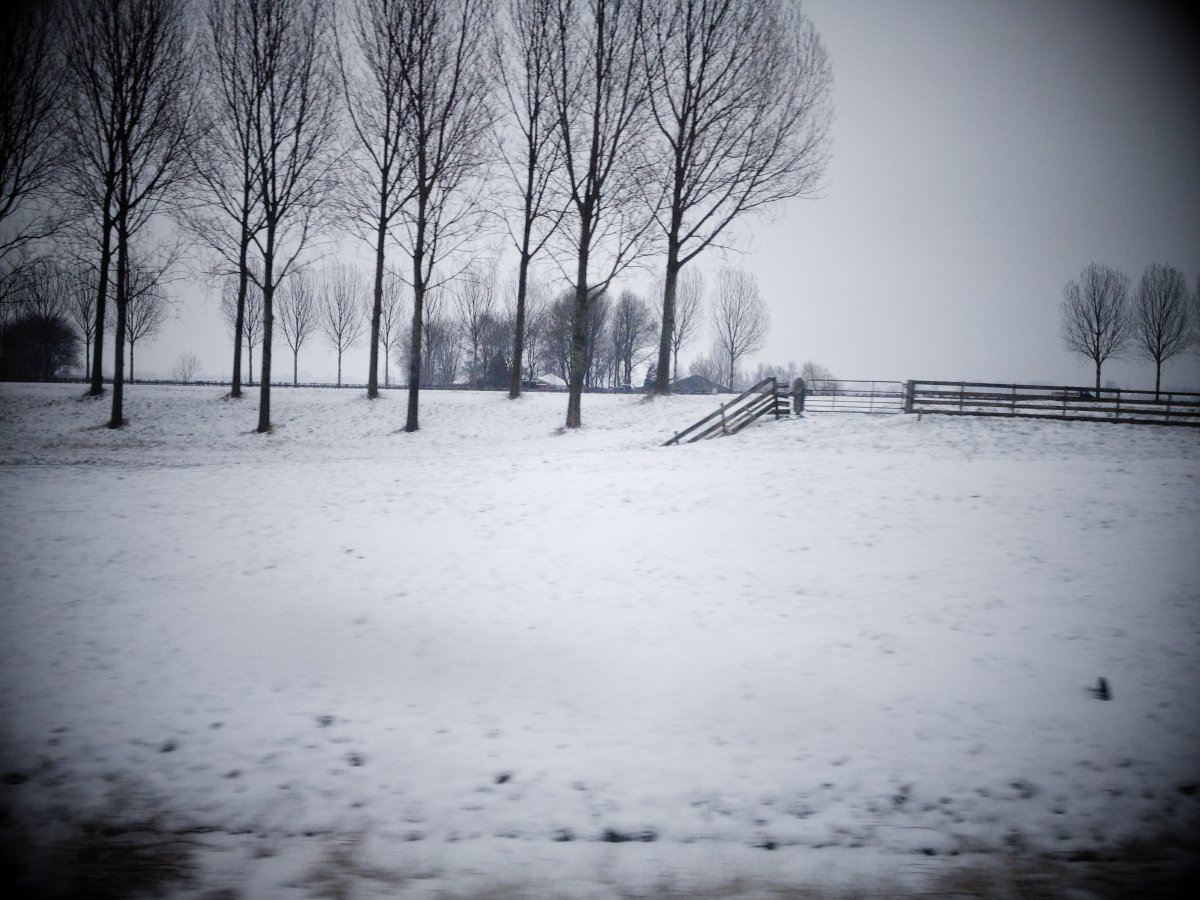 Sneeuw