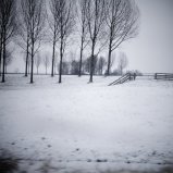 Sneeuw