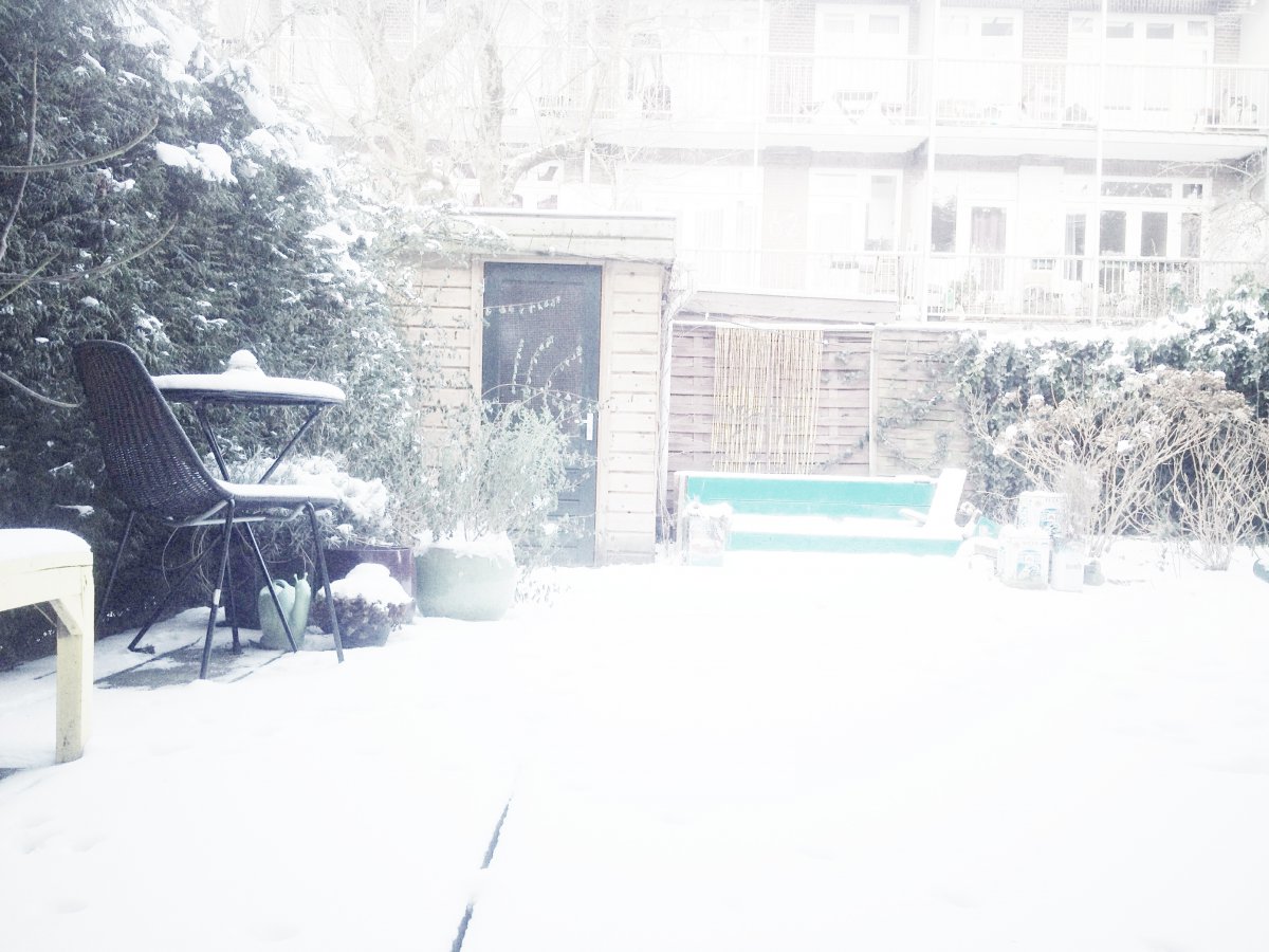 Tuin