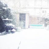 Tuin