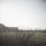 Grijzen