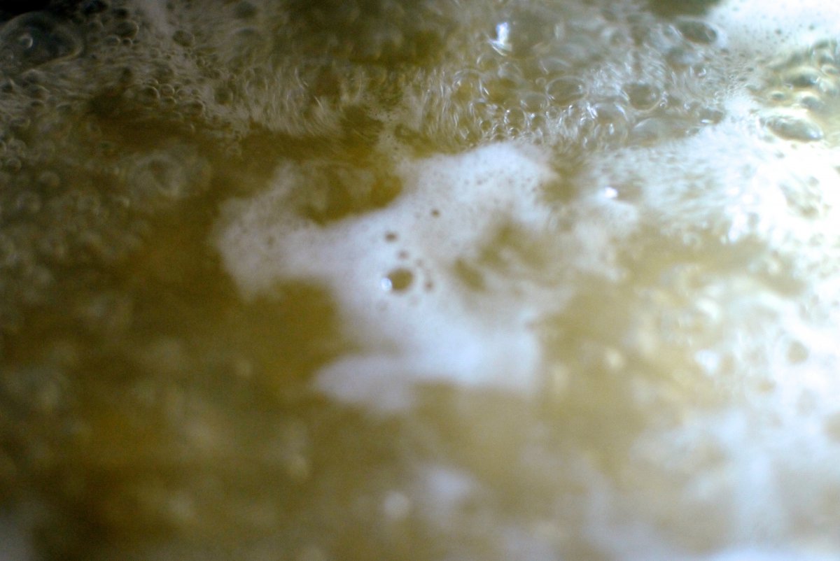 Pasta koken