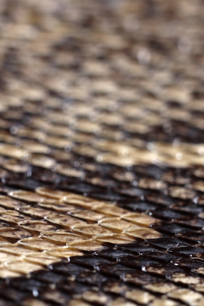 Portefeuille