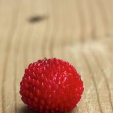 Pseudoaardbei