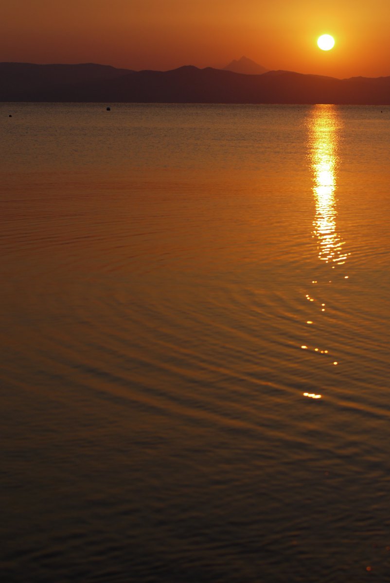 Zon