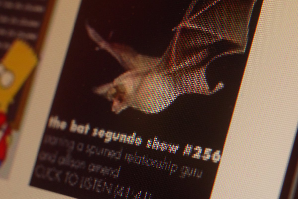 Random 256