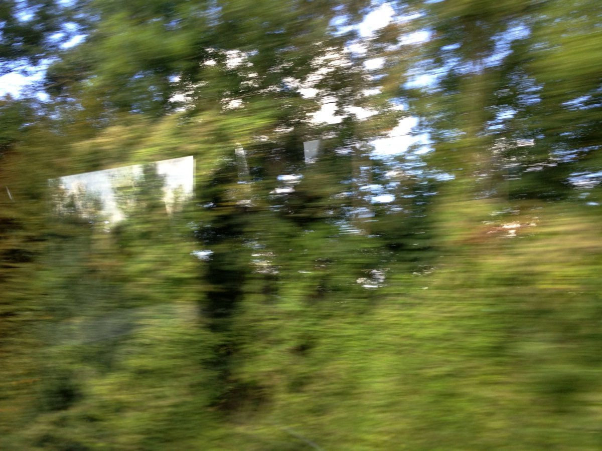 Bus