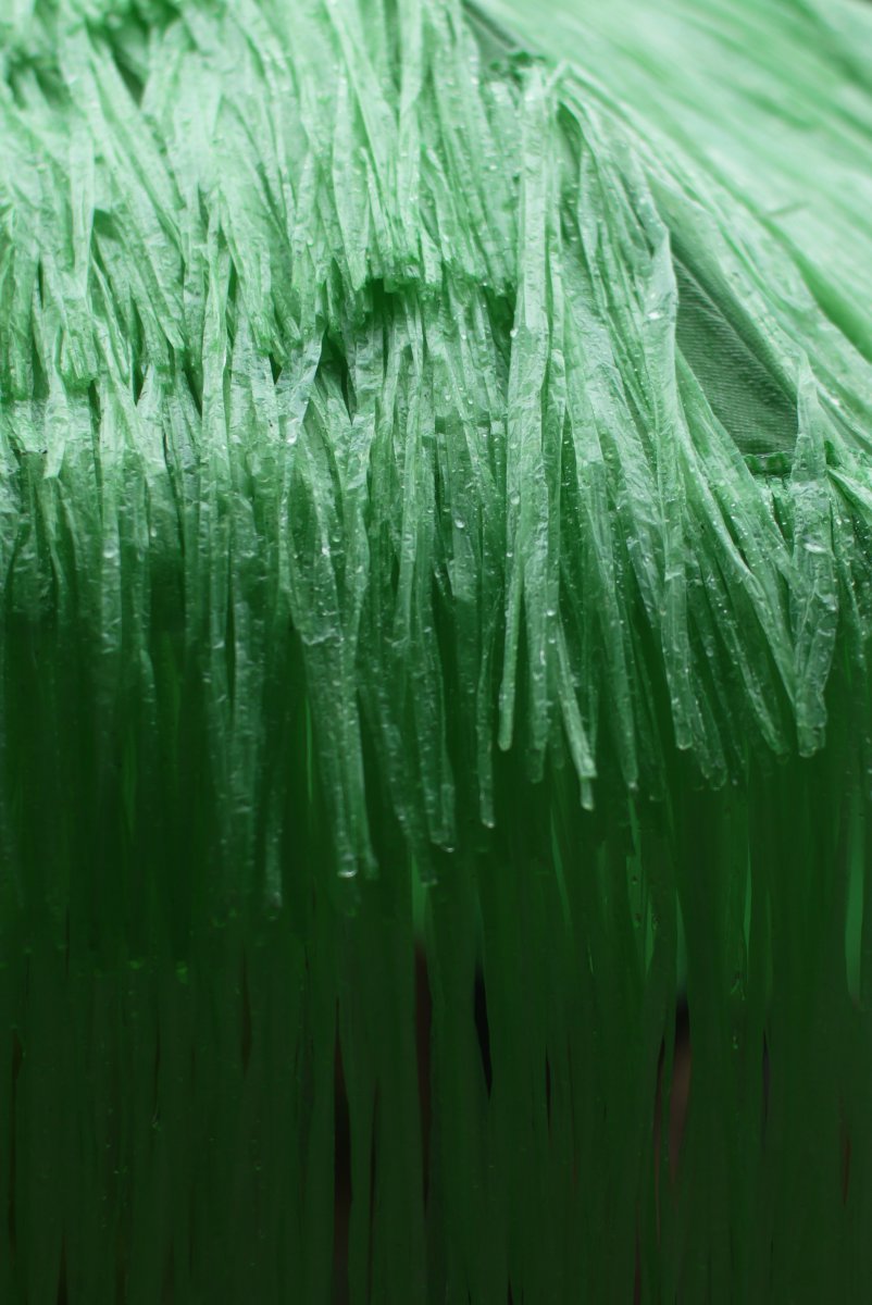 Parasol