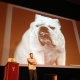 Bulldog