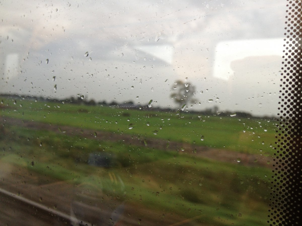 Regen