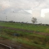 Regen