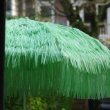 Parasol.