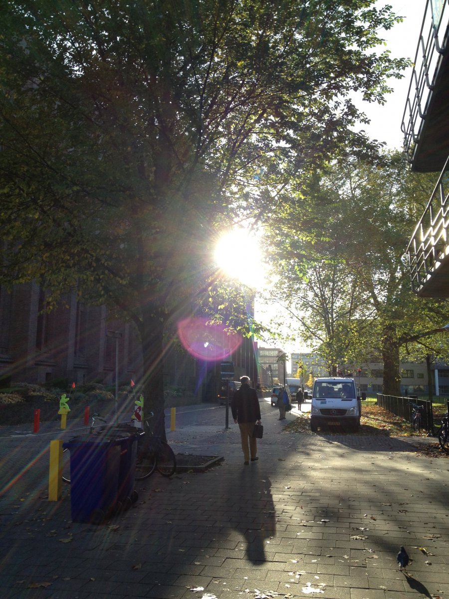 Zon.