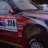 Rally-auto