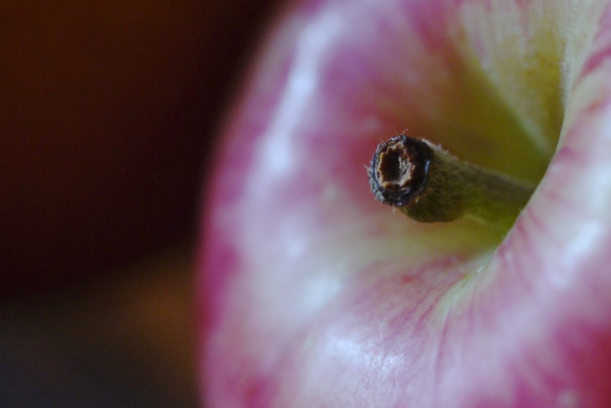 Appel
