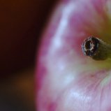 Appel