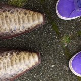 Schoenen