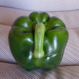 Sjaggerijnige paprika