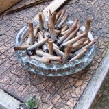 Stekelvarken in de tuin