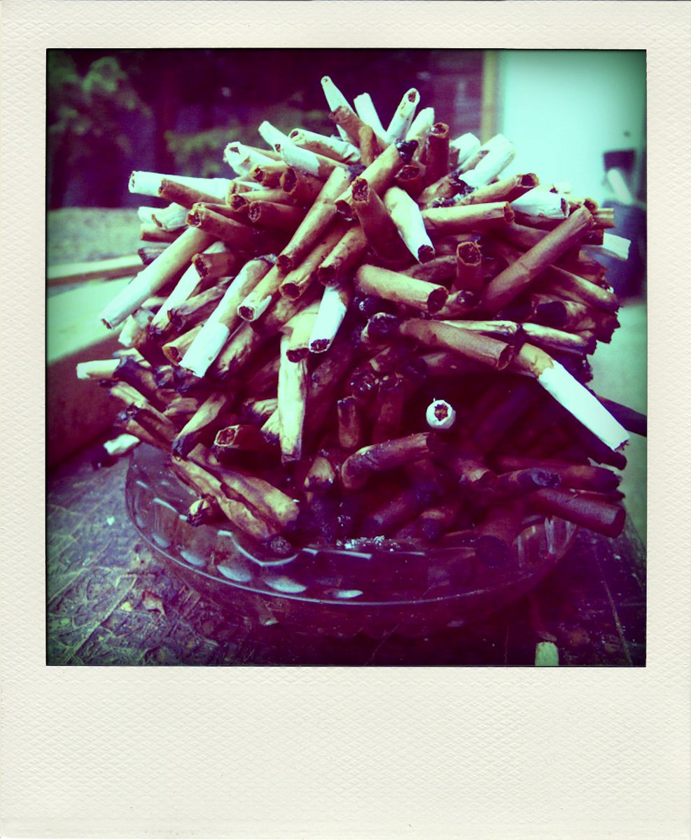 Poladroid van het stekelvarken