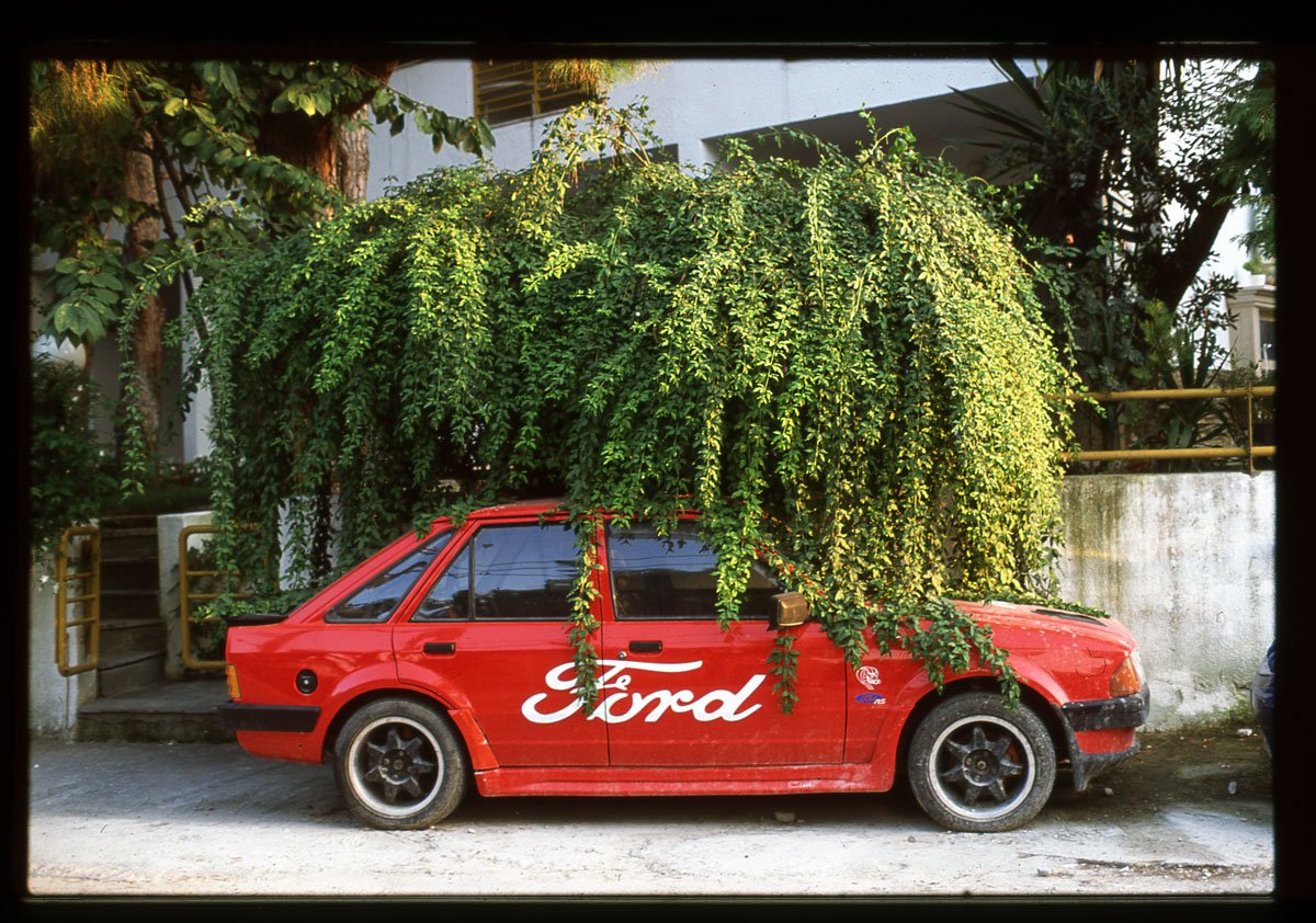 Ford