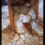 Roest