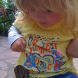 Grote vlinder