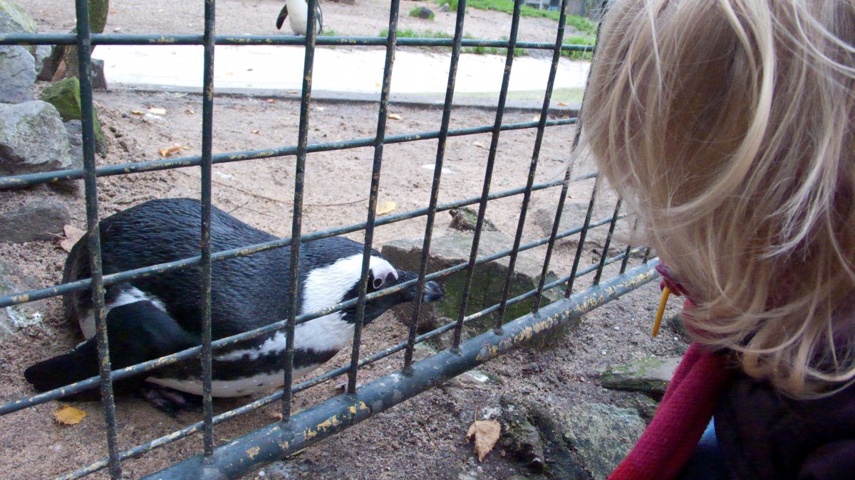In artis #02
