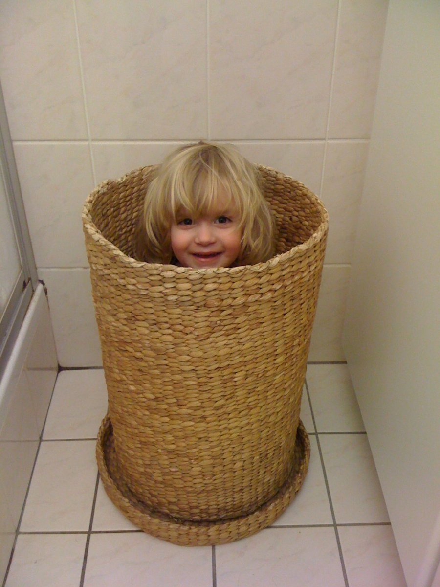 In de wasmand