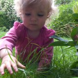 In het gras #03