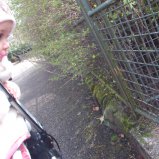Kiki en een pinguin