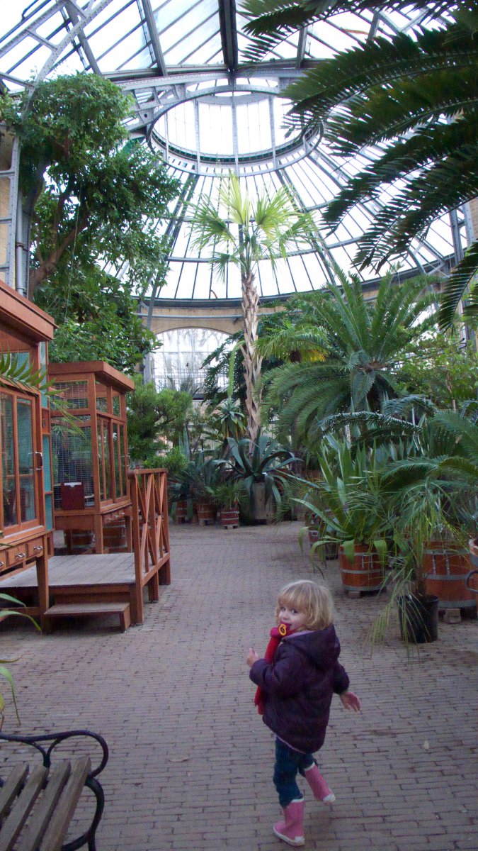 Kiki in de Hortus #03