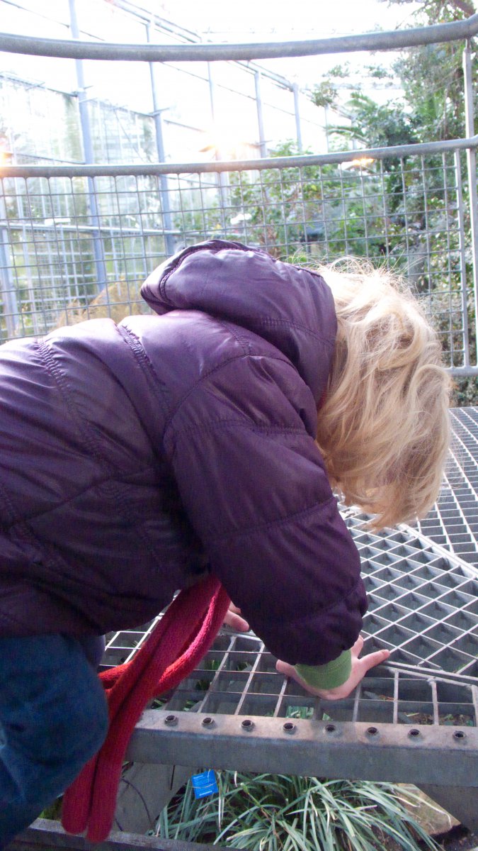 Kiki in de Hortus #04