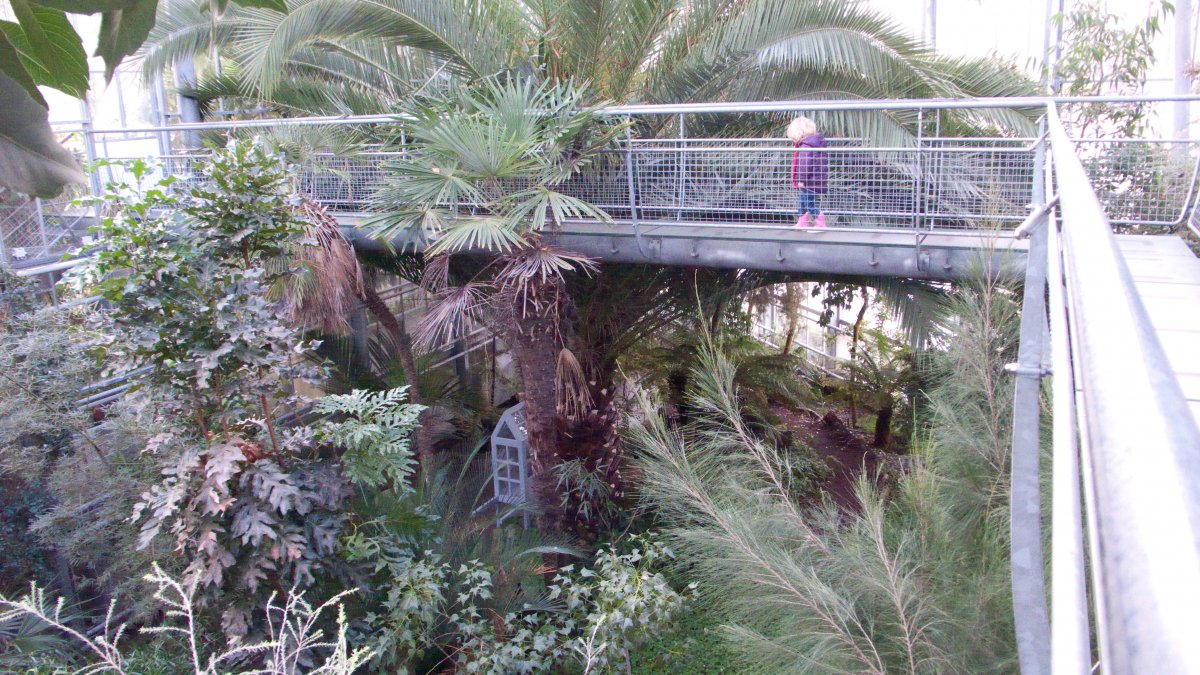 Kiki in de Hortus #06