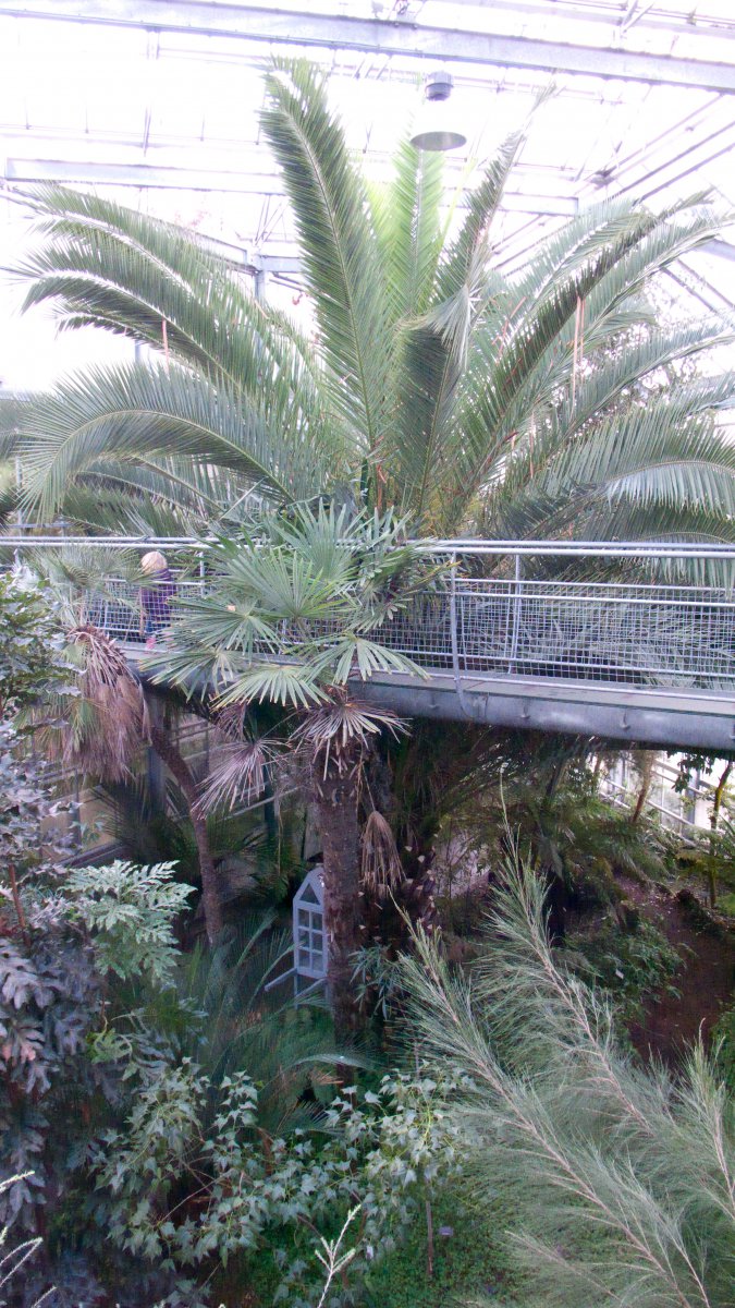 Kiki in de Hortus #07