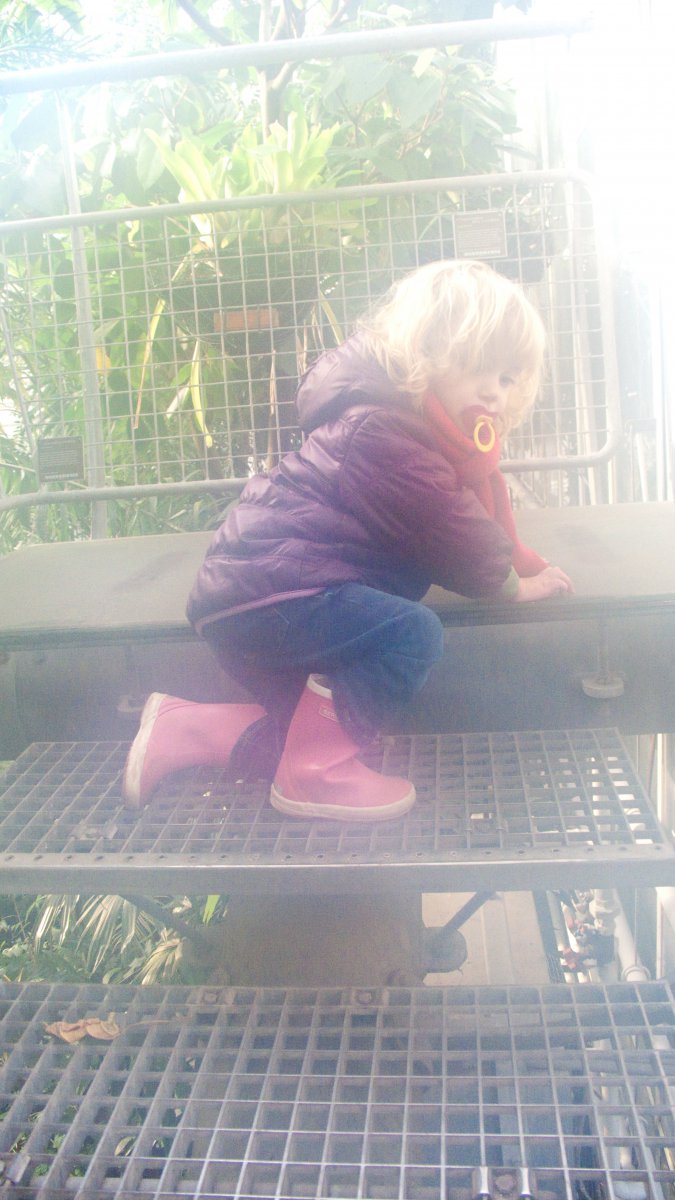 Kiki in de Hortus #08
