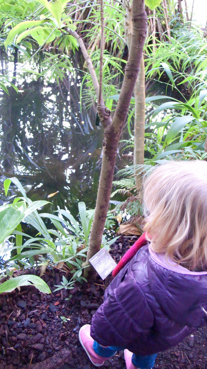 Kiki in de Hortus #09
