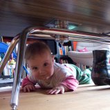 Kiki onder de tafel #02