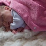 Kiki op een alpacabontje