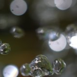 Druppels