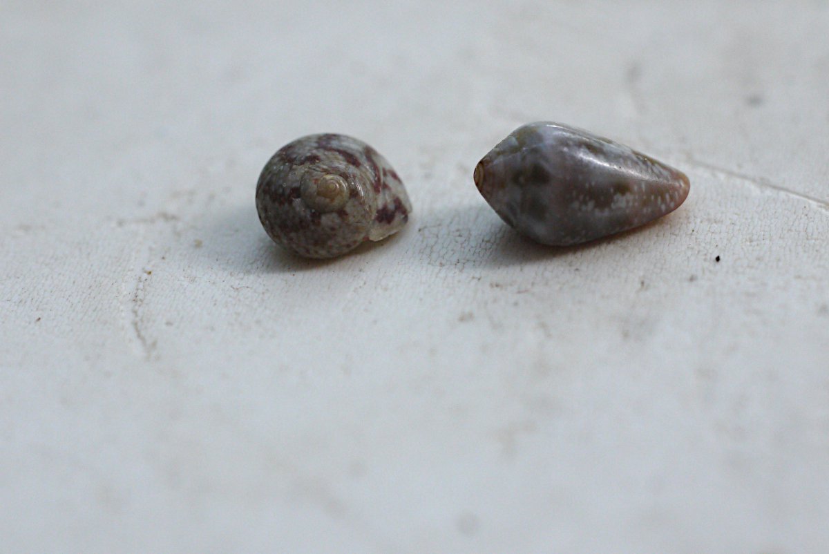 Slakjes