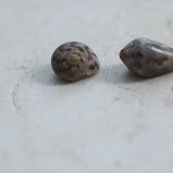 Slakjes
