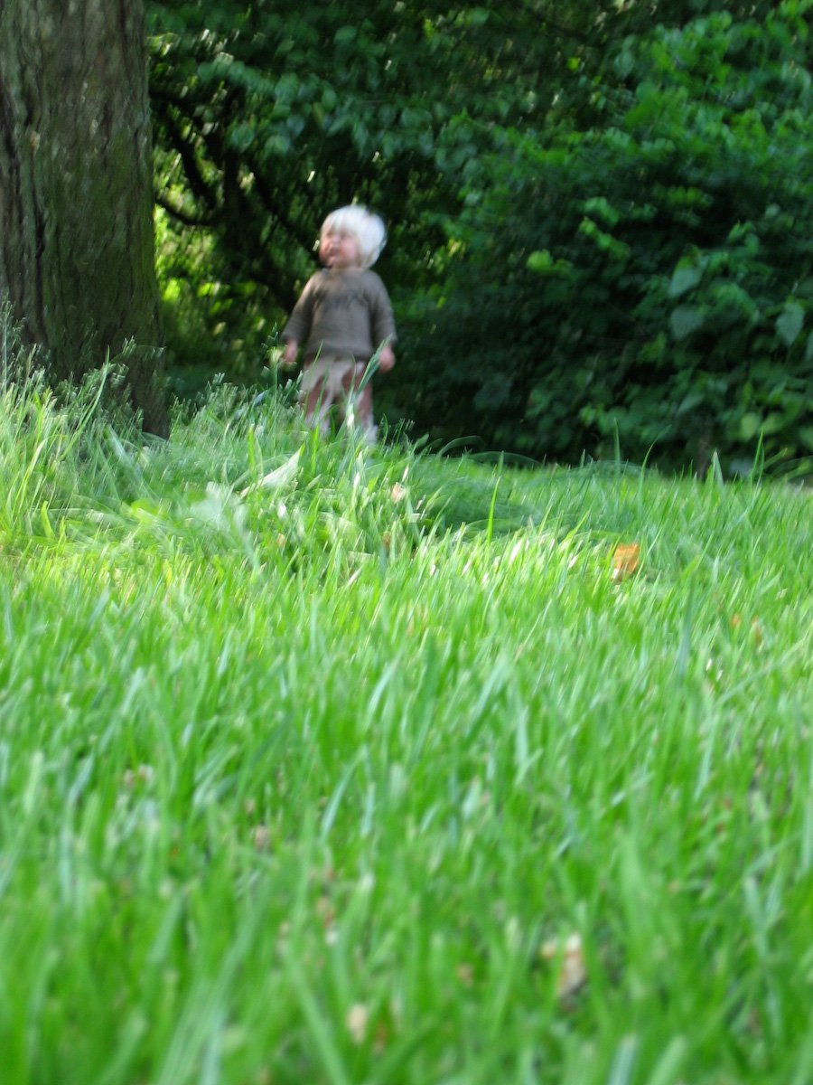 Janosch in het Vondelpark