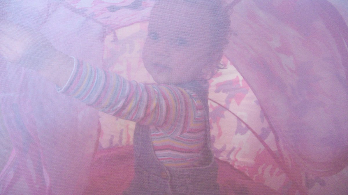Rosie in de tent